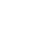 Landline Telephone